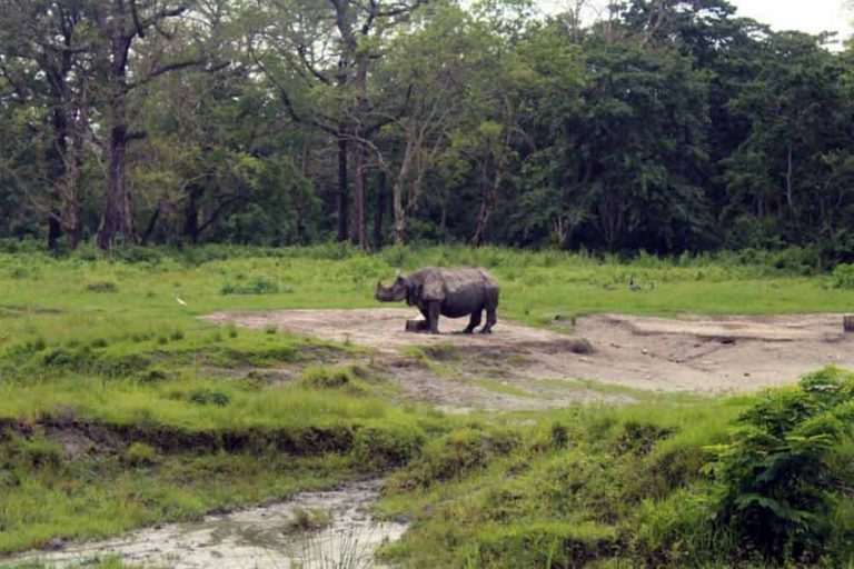 north-bengal