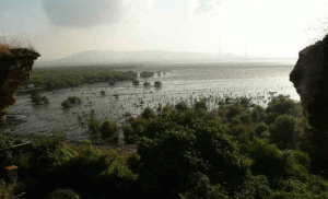 maharashtra wetlands