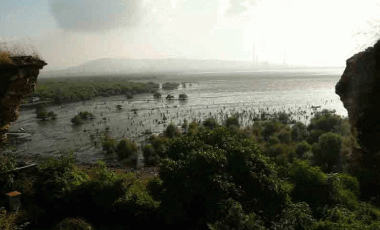 maharashtra wetlands