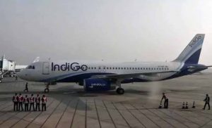 indigo special offers