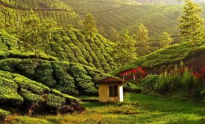 off beat destinations of kerala