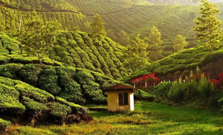off beat destinations of kerala