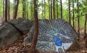 dancing peacock, pakhipahar