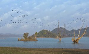 parsili madhya pradesh