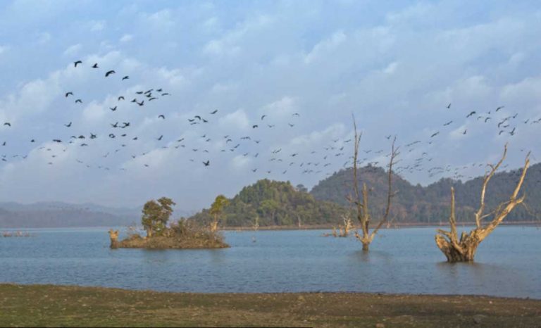 parsili madhya pradesh