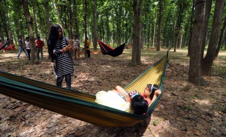 hammock in bishnupur