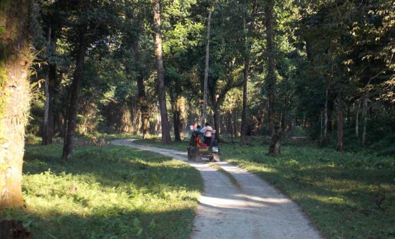lataguri resort