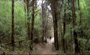 Trek route to Varsey
