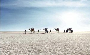 rann of kutch