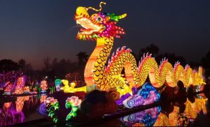 Magical Panda Lights in Nicco Park