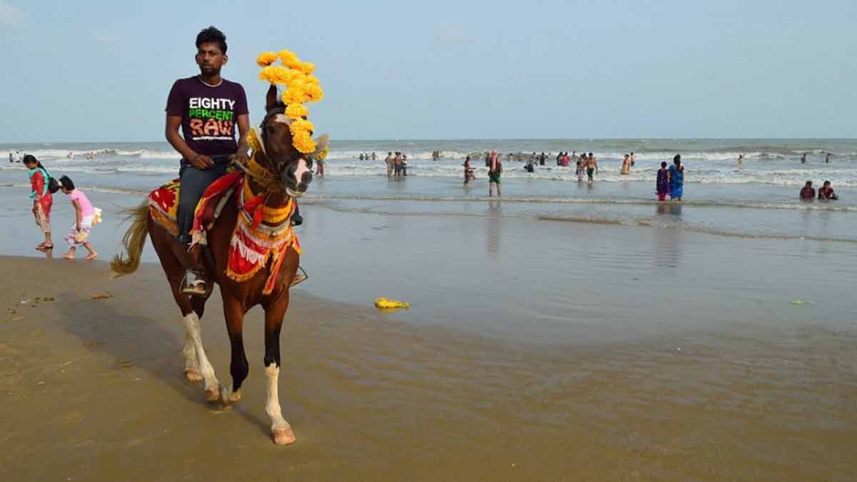 horse riding in digha-