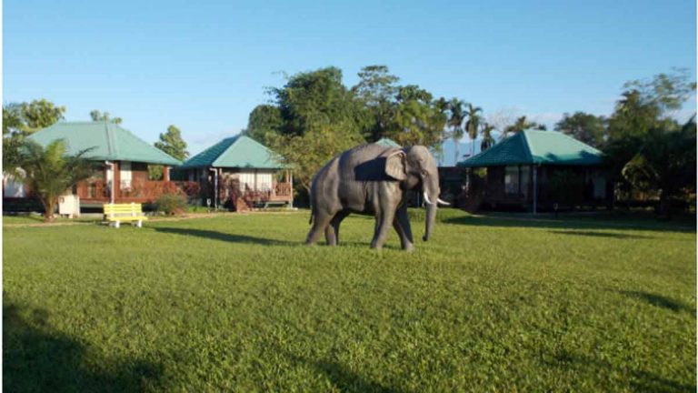 Murti Tourist lodge