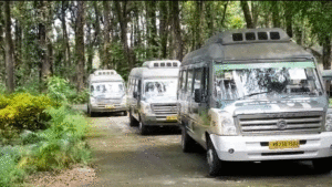 বেঙ্গল সাফারি পার্ক।