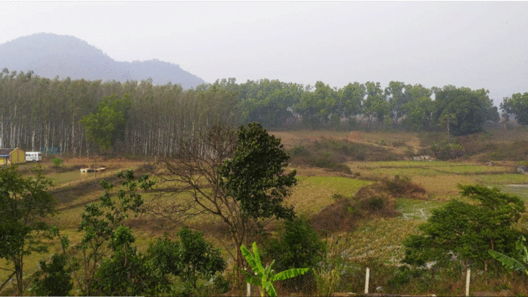 Daringbadi