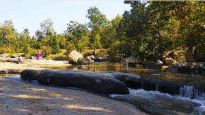 Nature's Paradise, Daringbadi