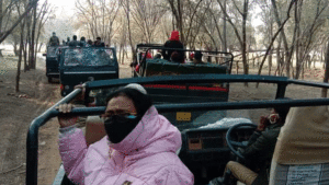 Jungle safari at Ranthambhore