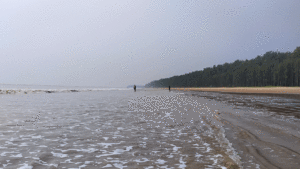 Bagda Beach, Odisha