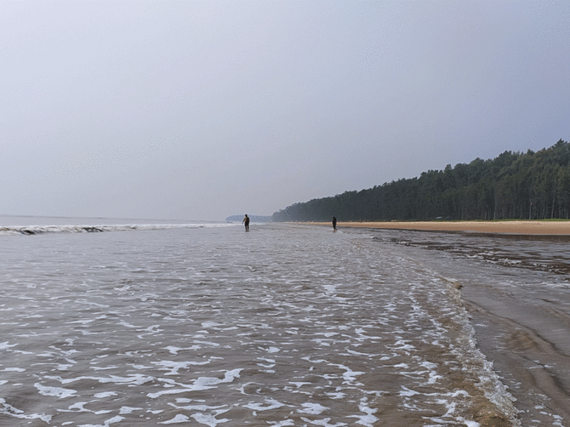 Bagda Beach, Odisha
