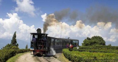 Darjeeling toy train