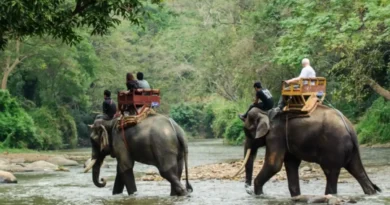 Gorumara National Park