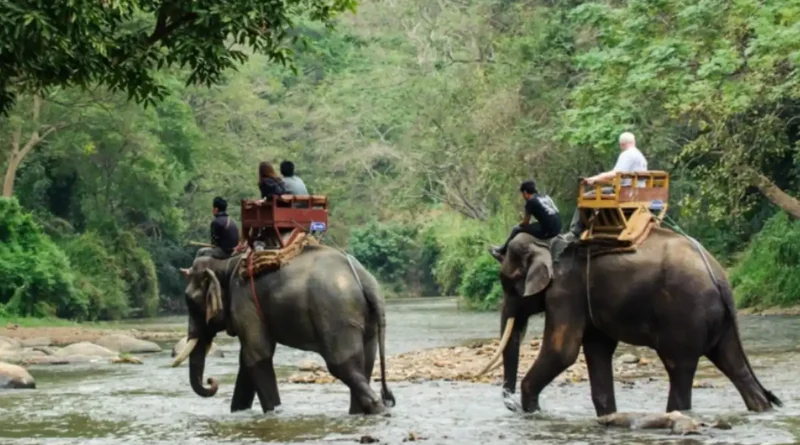 Gorumara National Park