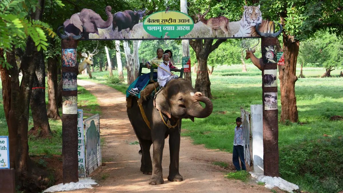 ঝাড়খণ্ডের প্রথম ব্যাঘ্র সাফারি প্রকল্প চালু হতে চলেছে বেতলা জাতীয় উদ্যানের কাছেই